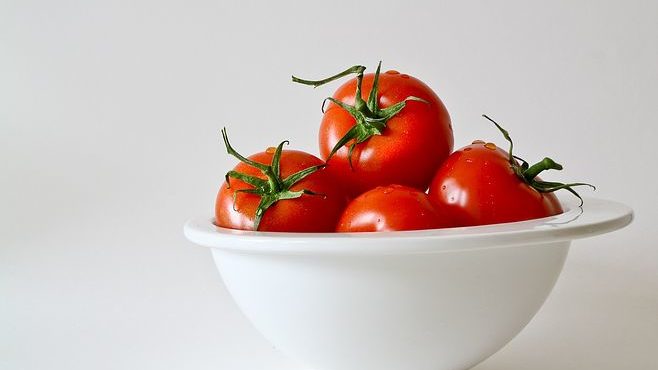 Culture tomate sous serre : comment ça marche ?