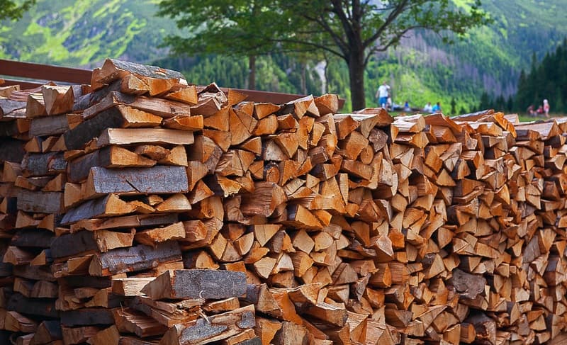Couper son bois en forêt : ce qu’il faut savoir pour faire des économie